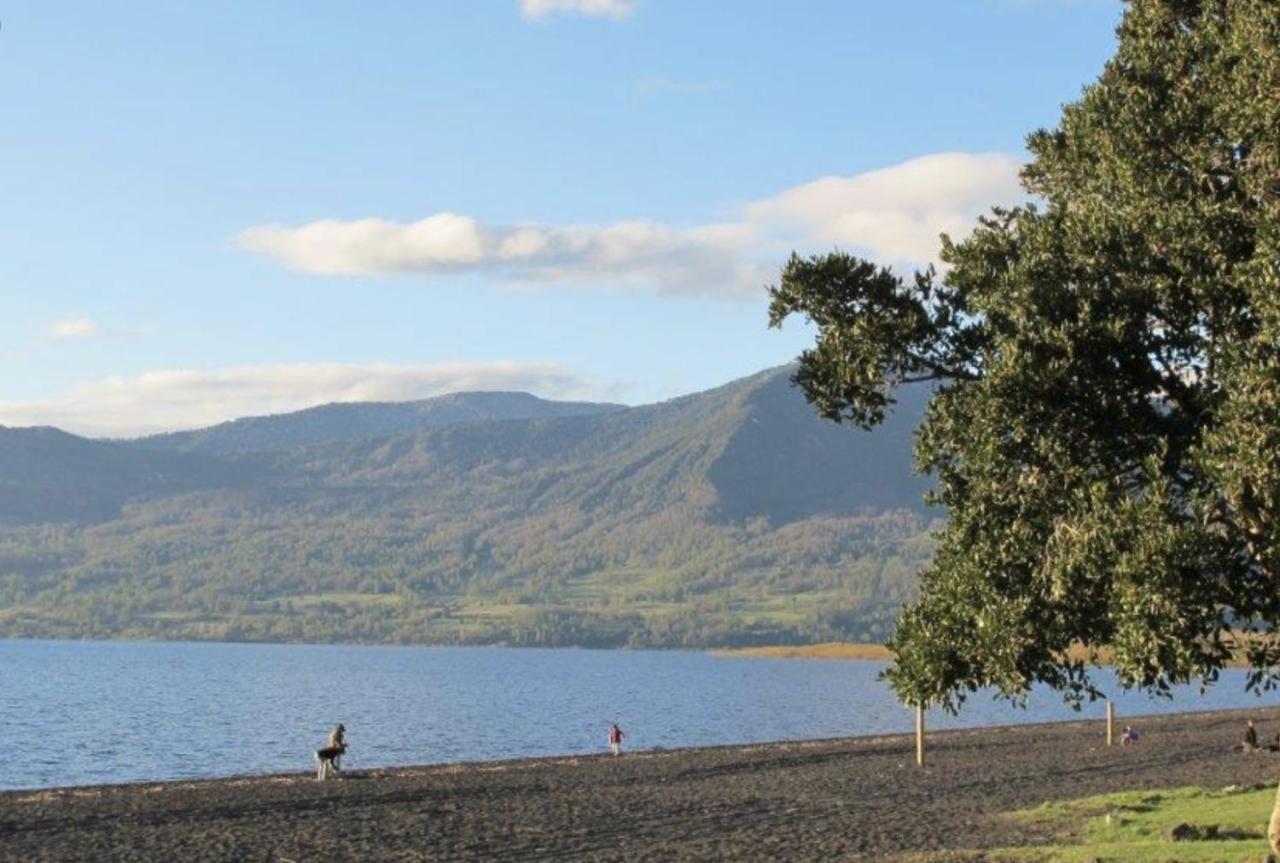 Pucon, La Capital Del Sur De Chile Lägenhet Exteriör bild
