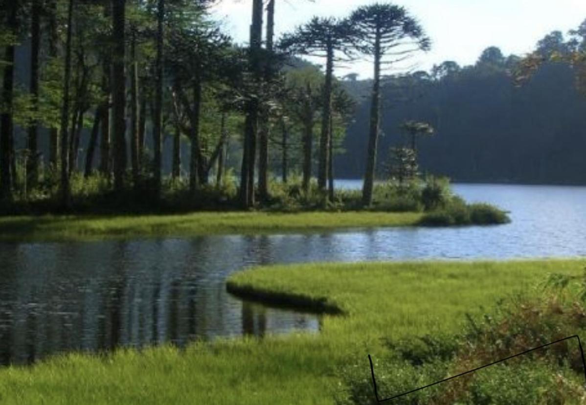 Pucon, La Capital Del Sur De Chile Lägenhet Exteriör bild