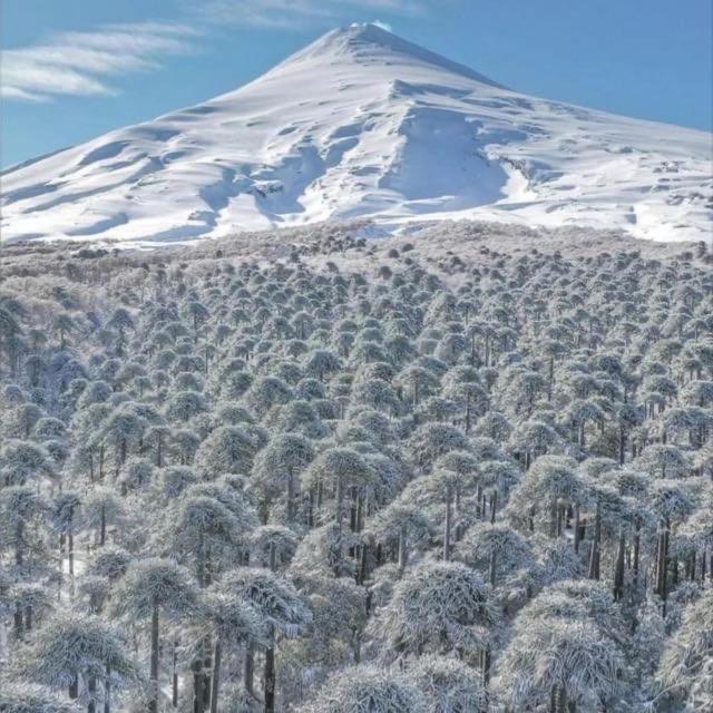 Pucon, La Capital Del Sur De Chile Lägenhet Exteriör bild